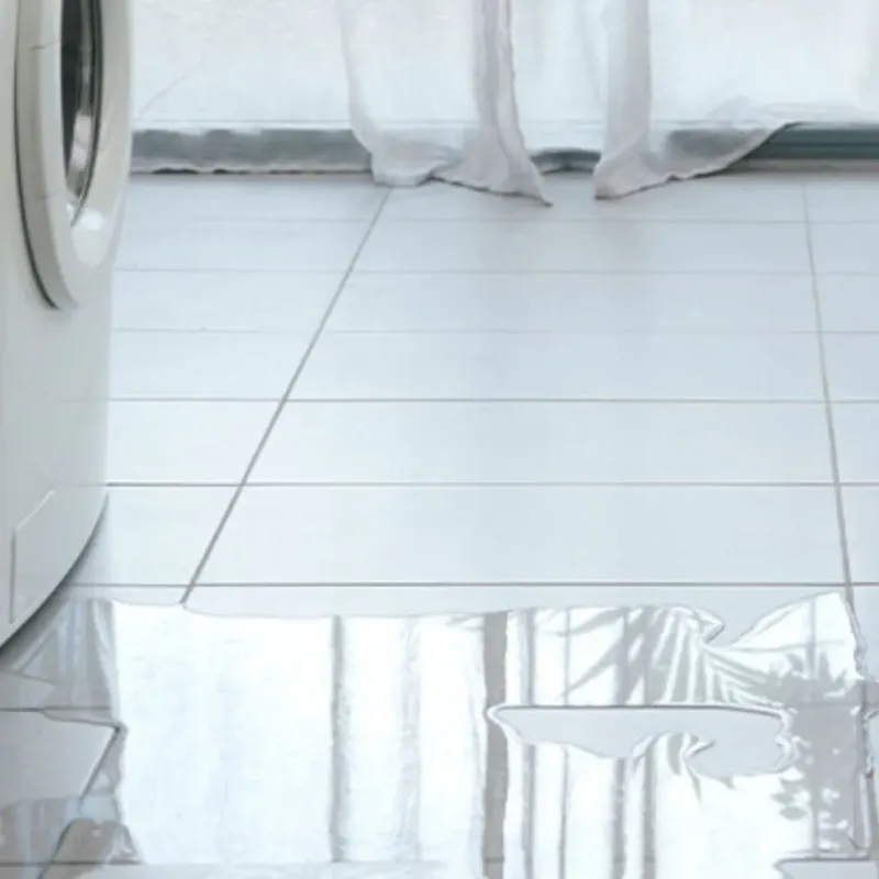 Appliance Leak Cleanup in Leander, TX