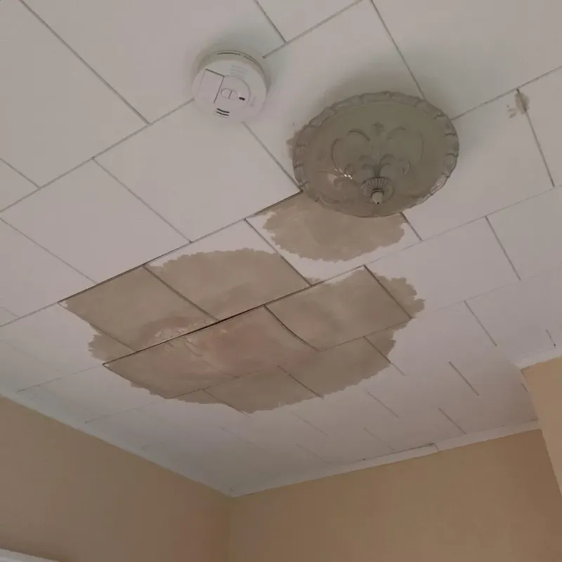 Ceiling Water Damage Repair in Leander, TX