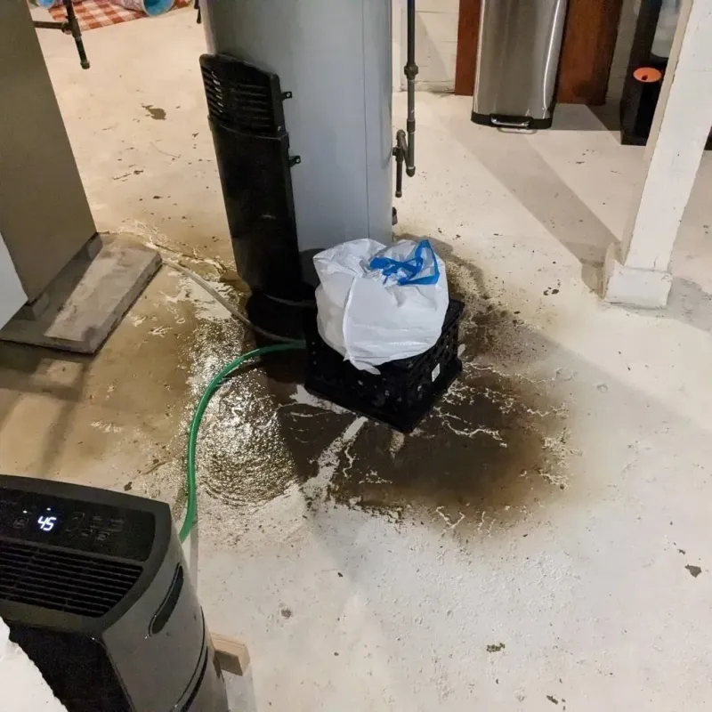 Sewage Backup Cleanup Service in Leander, TX